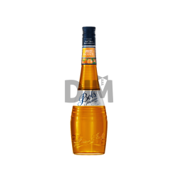 Bols Apricot Brandy 24% 0,7L